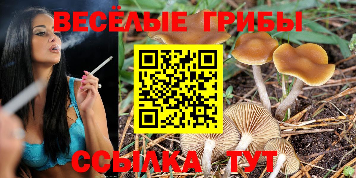 Галлюциногенные грибы Cubensis  Галлюциногенные грибы ЛСД  Вход с VPN  Волгодонск 
